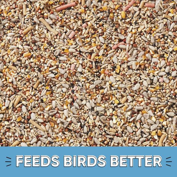 Happy Beaks - Spring & Summer Premium Seed Mix
